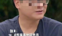 网红吃瓜叫爸爸,揭秘“叫爸爸”现象背后的文化现象