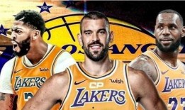 最新爆料湖人,揭秘球队内部变动与未来展望”