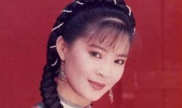 婉君电视剧在线观看,穿越时空的青春恋曲