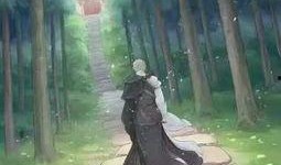 须弥爆料视频大全最新版,揭秘最新版神秘内容全解析